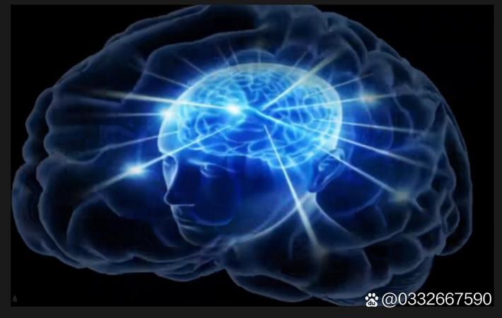 亚星房车好不好？全方位解析这款移动生活新选择
